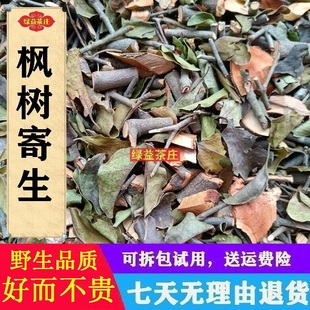 广西野生 枫树寄生 枫香树寄生 大叶枫寄生 干品