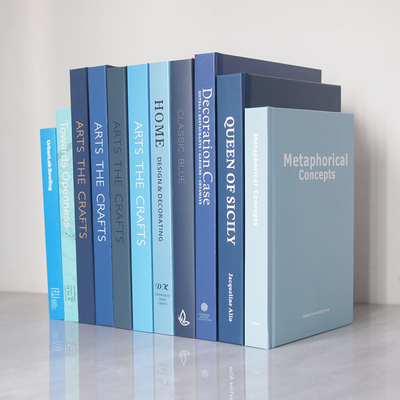 蓝色真书样板间摆件饰品道具书