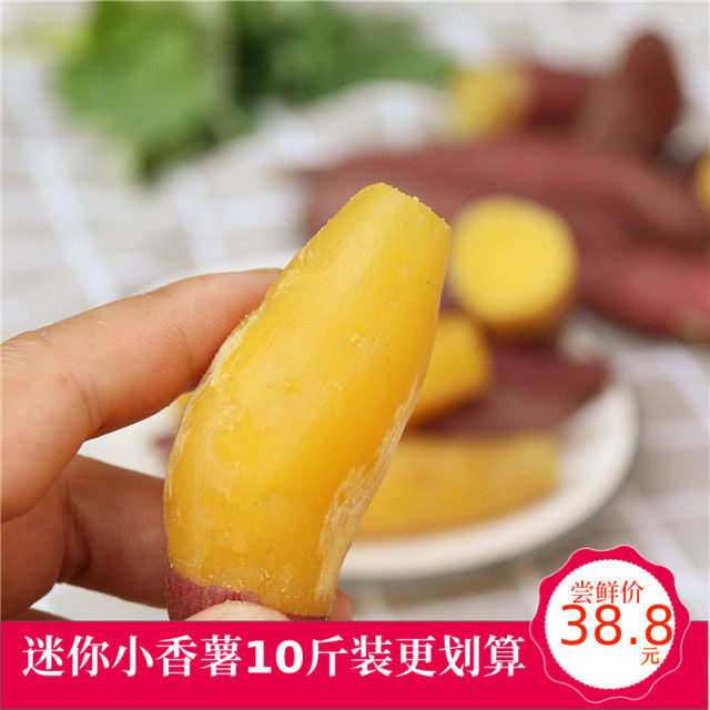 临安小香薯10斤天目山小红薯迷你金手指小地瓜新鲜蔬菜现挖小山芋