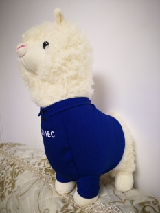 上外虹口校区贤达经济人文学院羊驼（可定制定做各学校的校服熊）