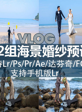 索尼slog3灰片风格化调色插件vlog人像旅拍海景lut滤镜包pr/fcpx