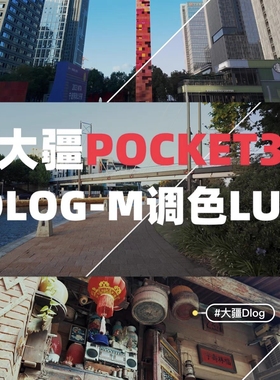 DJI大疆Pocket3专用dlog灰片还原风格调色LUT剪映/PR/达芬奇/fcpx