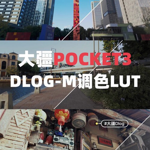DJI大疆Pocket3专用dlog灰片还原风格调色LUT剪映/PR/达芬奇/fcpx