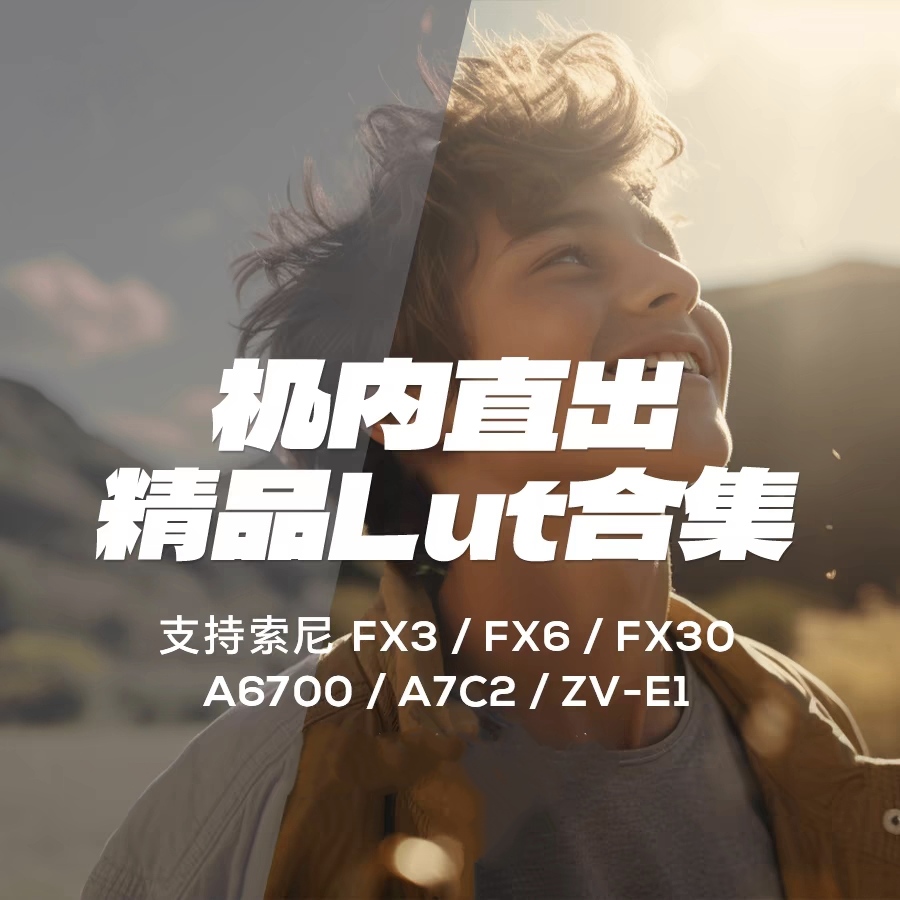 索尼机内直出lut调色预设人像胶片电影感A6700/A7C2/FX3/FX6/ZVE1