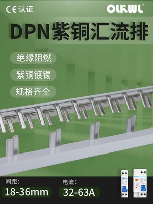 1P+N漏电断路器25A32A40A50A63A空气开关DPN单P两极紫铜汇流排
