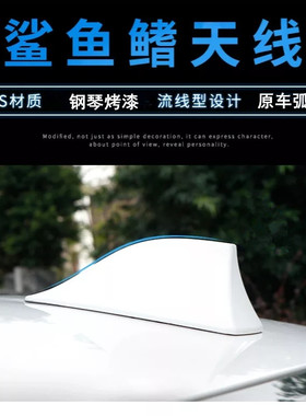 适用于奇瑞旗云1  E5琥珀金白色黑色装饰车顶收音机天线改装配件