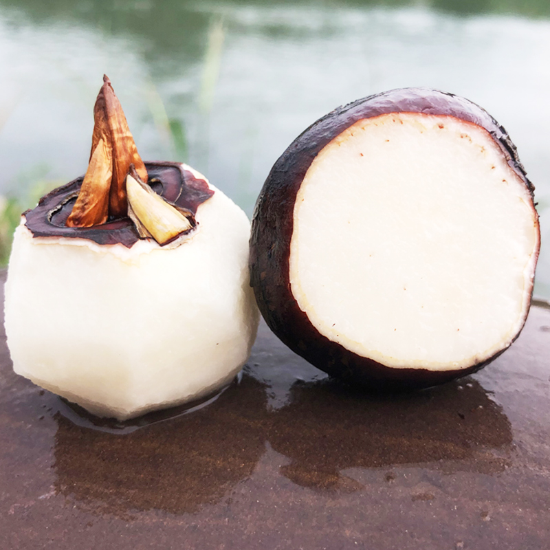 中果马蹄广西桂林荔浦荸荠新鲜