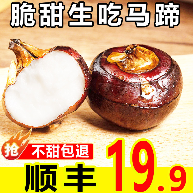 广西马蹄大果桂林荔浦荸荠新鲜现挖现发时令生鲜农家自种蔬菜顺丰