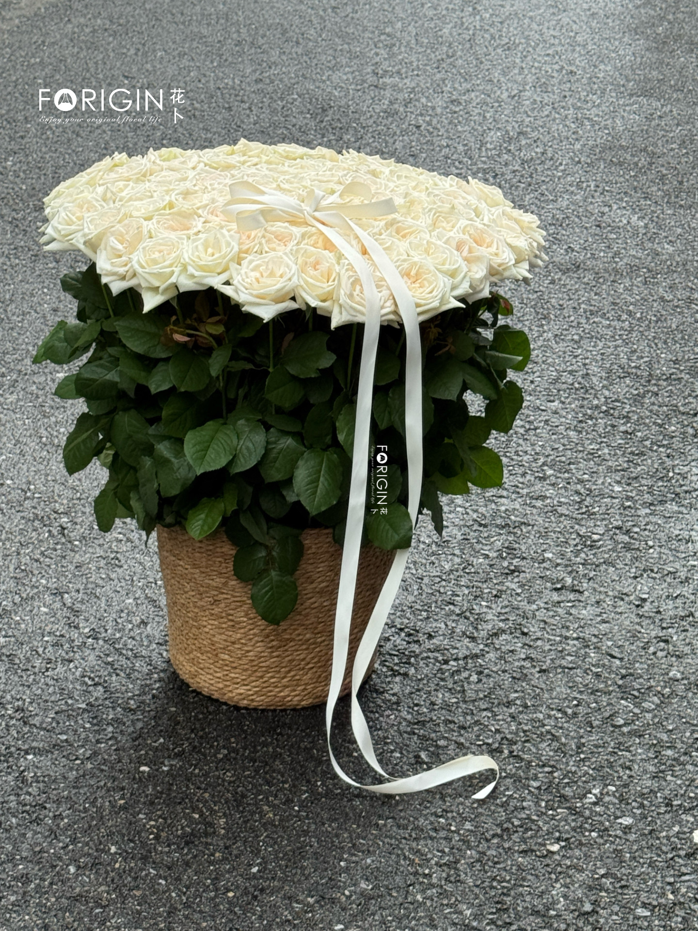 白荔枝玫瑰自然花篮花束北京同城鲜花速递七夕情人节女友