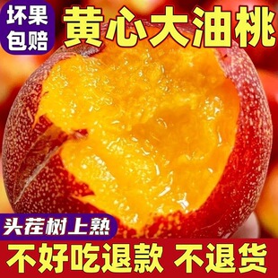 【头茬现摘】山东蒙阴麻点红油桃应季脆甜多汁孕妇黄心甜蜜桃SS