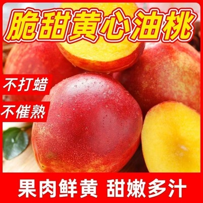 山东红皮黄心油桃现摘脆甜多汁