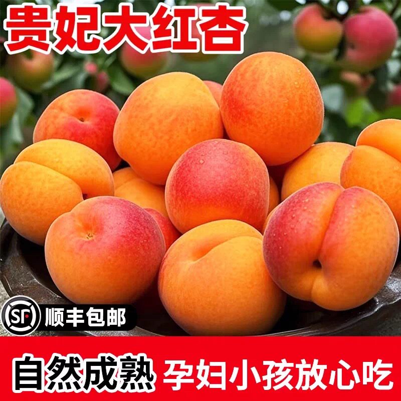顺丰可选陕西贵妃大红杏胭脂红杏大黄杏子新鲜现摘酸甜孕妇水果SS