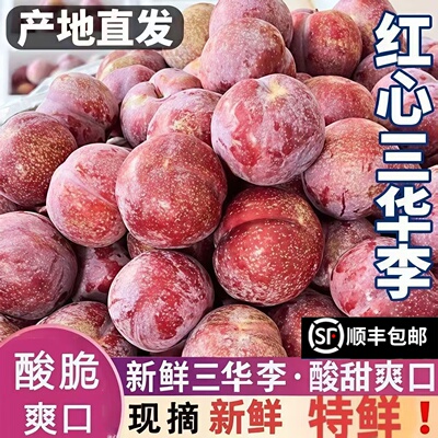 钱排三华李顺丰大果速发