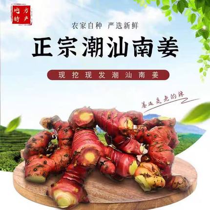 新鲜南姜潮汕调味品现挖现发3年以上老姜生态种植产地直发