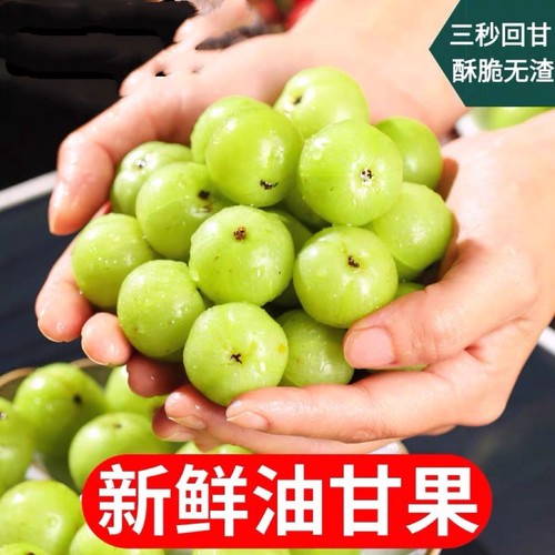 潮汕甜种油柑果现摘油甘果新鲜余甘子牛甘果柿饼甜油柑孕妇酸水果