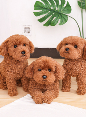 非遗凯特胡赛尼仿真泰迪犬狗狗毛绒公仔玩偶静态摆件拍摄道具模型