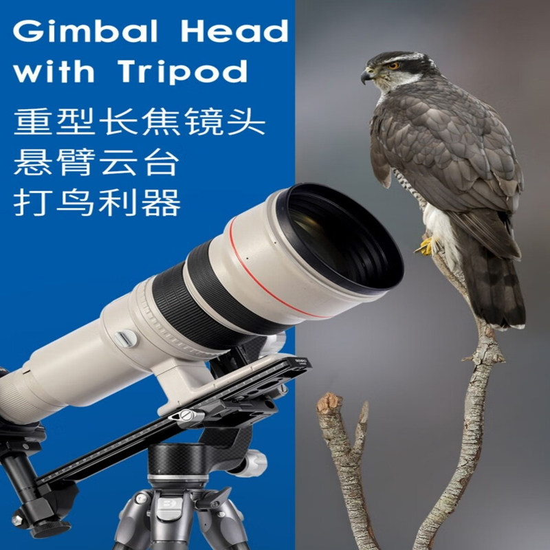 Benro/百诺 GH5CMINICN 长焦镜头观鸟拍摄碳纤维悬臂液压阻尼云台