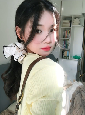 双层白色大朵波点大肠发圈女复古