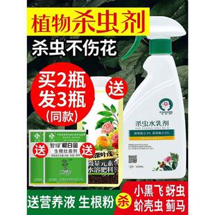 蚜虫的药吊兰多肉花盆里生白色虫子家庭养花杀虫剂打治杀花卉消虫