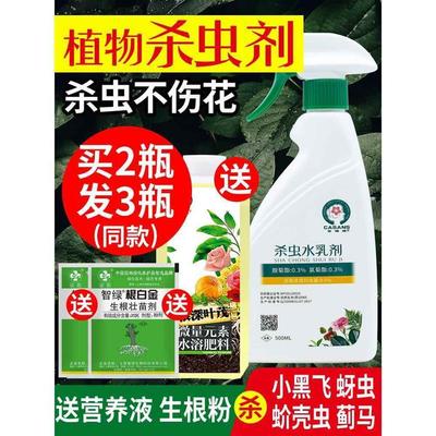 蚜虫的药吊兰多肉花盆里生白色虫子家庭养花杀虫剂打治杀花卉消虫