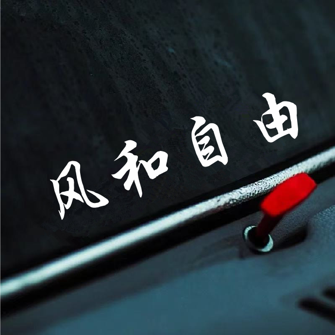抖音网红车贴风和自由车贴