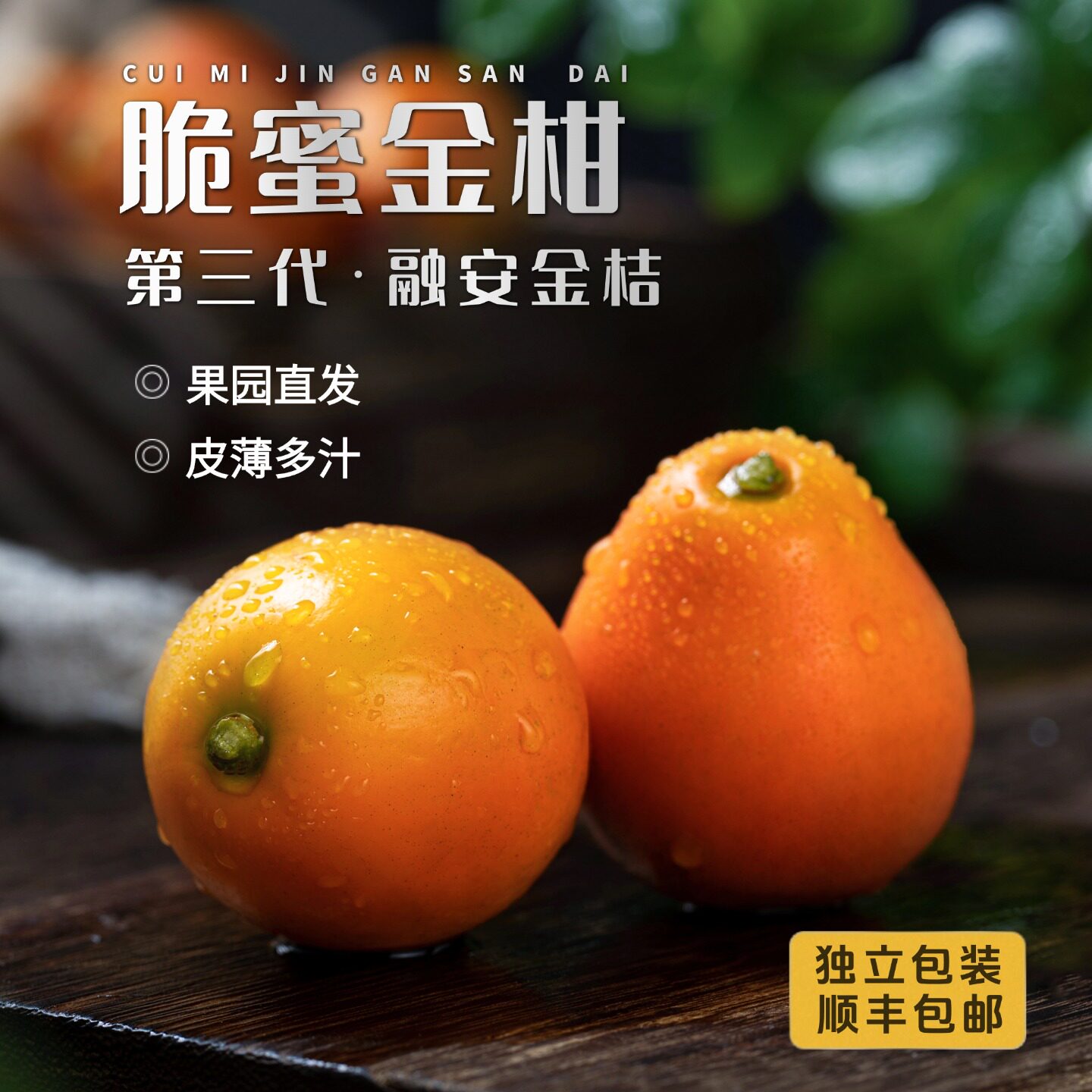 「脆蜜王中王」正宗融安金桔特大脆甜新鲜水果橘子农产品现摘现发