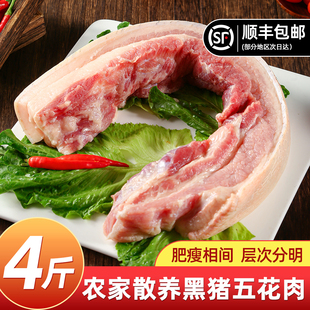 新鲜黑土猪五花肉大别山农家散养土黑毛猪肉新鲜带皮烧烤生猪肉