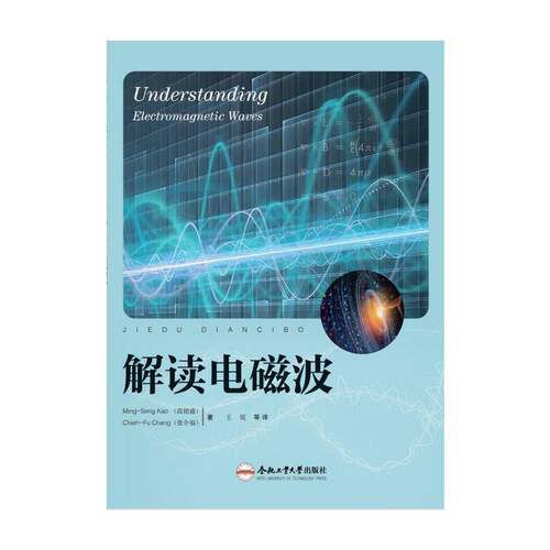 正版书籍 UNDERSTANDING ELECTROMAGNETIC WAVES（解读电磁波）_合肥工业大学出版社自然科学  人天书店畅销书排行榜