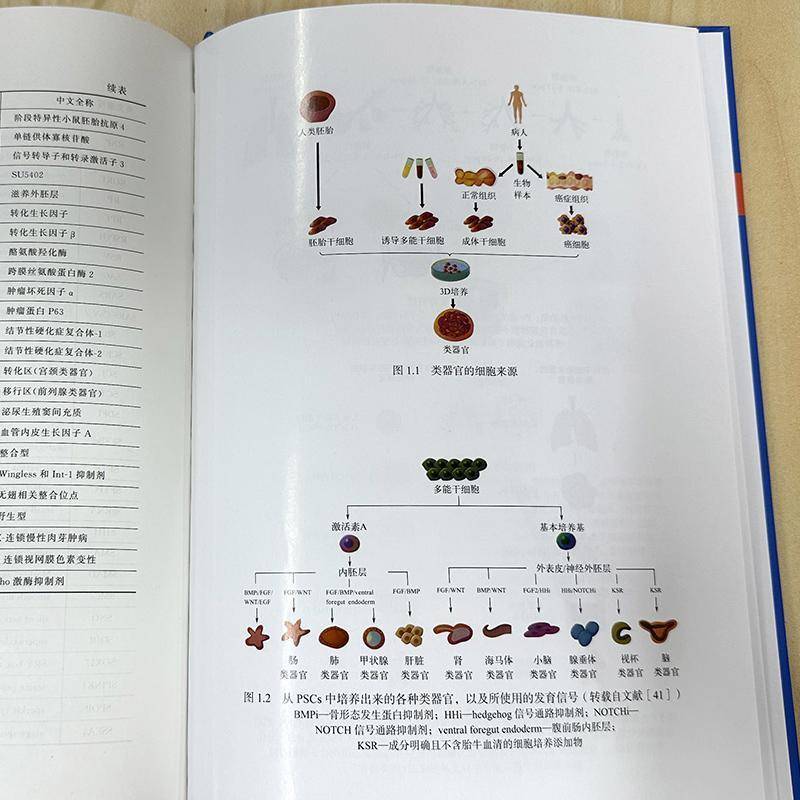 正版书籍 类器官技术:疾病模型构建与个化巴德鲁尔·希沙姆·亚雅化学工业出版社医药卫生  人天书店畅销书排行榜
