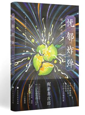 忧郁 解璞   小说书籍