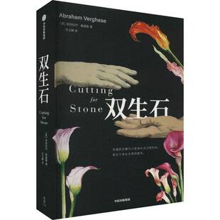 正版书籍 双生石亚伯拉罕·维基斯中信出版集团股份有限公司小说  人天书店畅销书排行榜