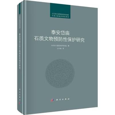 泰安岱庙石质文物保护研究(精) 山东省古建筑保护研究院   历史书籍