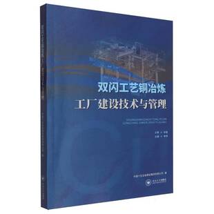 正版书籍 双闪工艺铜冶炼工厂建设技术与管理李伟中南大学出版社有限公司经济  人天书店畅销书排行榜