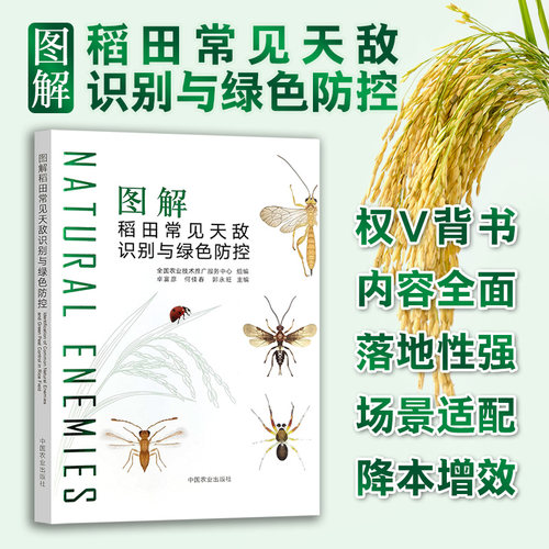 图解稻田常见天敌识别与绿色防控