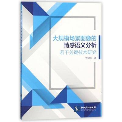 正版书籍 大规模场景图像的情感语义分析若干关键技术研曹建芳知识产权出版社计算机与网络图象处理软件研究 人天书店畅销书排行榜