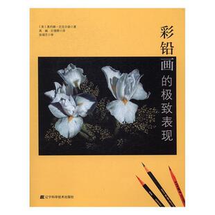 彩铅画的表现 奥约娜·尼克尔森 铅笔画绘画技法 艺术书籍