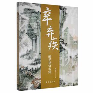 辛弃疾(醉里挑灯看剑) 张逸尘 宋诗诗集宋词集辛弃疾生平事迹 传记书籍