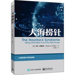 工业技术书籍 数据管理 大海捞针 艾利·高德拉特