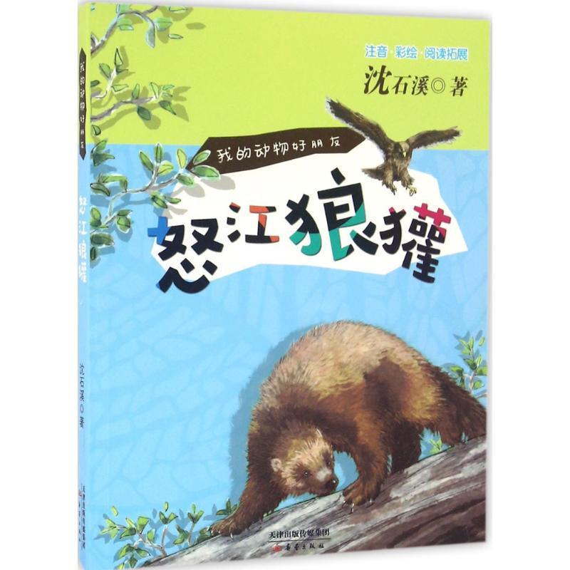 怒江狼獾 沈石溪 儿童小说中篇小说中国当代 儿童读物书籍