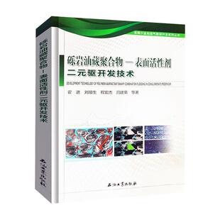 砾岩油藏聚合物—表面活剂二元驱开发技术 霍进等   工业技术书籍