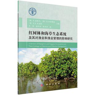红树林和海生态系统及其对渔业和渔业管理的影响研究 森格尔 红树林森林生态系统影响渔业经济 自然科学书籍