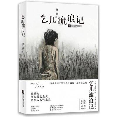 正版书籍 乞儿流浪记夏商江苏凤凰文艺出版社小说长篇小说中国当代 人天书店畅销书排行榜