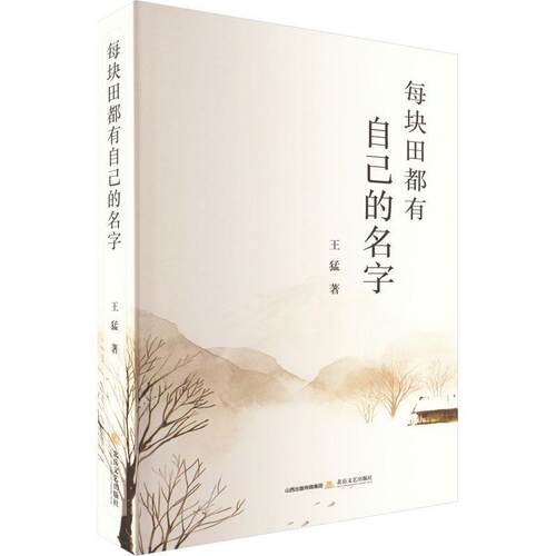每块田都有自己的名字 王猛   文学书籍