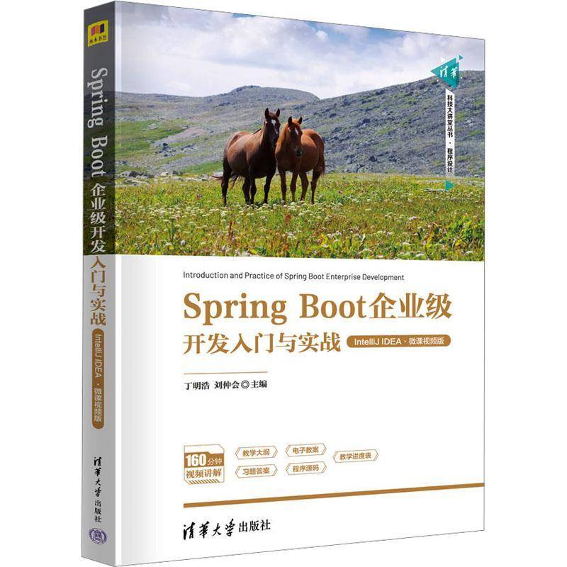 正版书籍 Spring Boot企业级开发入门与实战:IntelliJ IDEA:微课版丁明浩清华大学出版社计算机与网络  人天书店畅销书排行榜