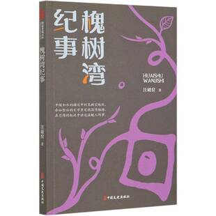 正版书籍 槐树湾纪事汪破窑中国文史出版社小说小说集中国当代普通大众人天书店畅销书排行榜