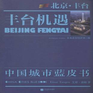 正版书籍 丰台机遇艾那·唐根江苏凤凰文艺出版社小说丰台区概况 人天书店畅销书排行榜