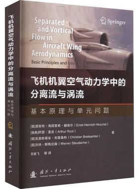 飞机机翼空气动力学中的分离流与涡流:基本原理与单元问题:basic principles and unit  恩斯特·海因里希·赫谢尔   工业技术书籍
