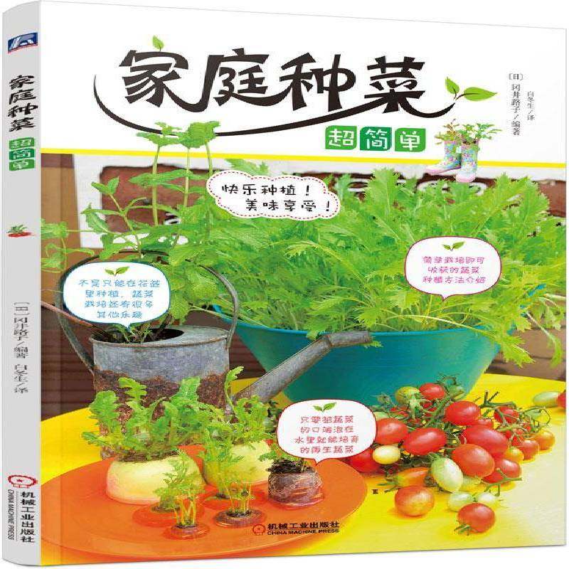 正版书籍 家庭种菜超简单冈井路子机械工业出版社生活休闲  人天书店畅销书排行榜