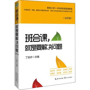 正版书籍 班会课，是要解决问题:小学卷丁如许长江文艺出版社社会科学班会教案小学普通大众人天书店畅销书排行榜