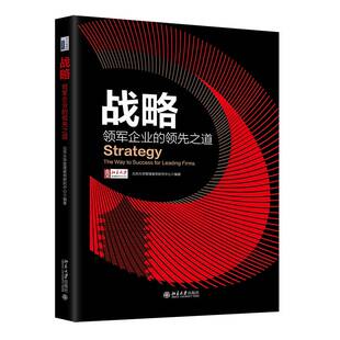 正版书籍 战略:领军企业的之道王熙珩北京大学出版社管理  人天书店畅销书排行榜